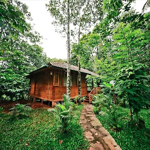 Resort Bamboo Creek